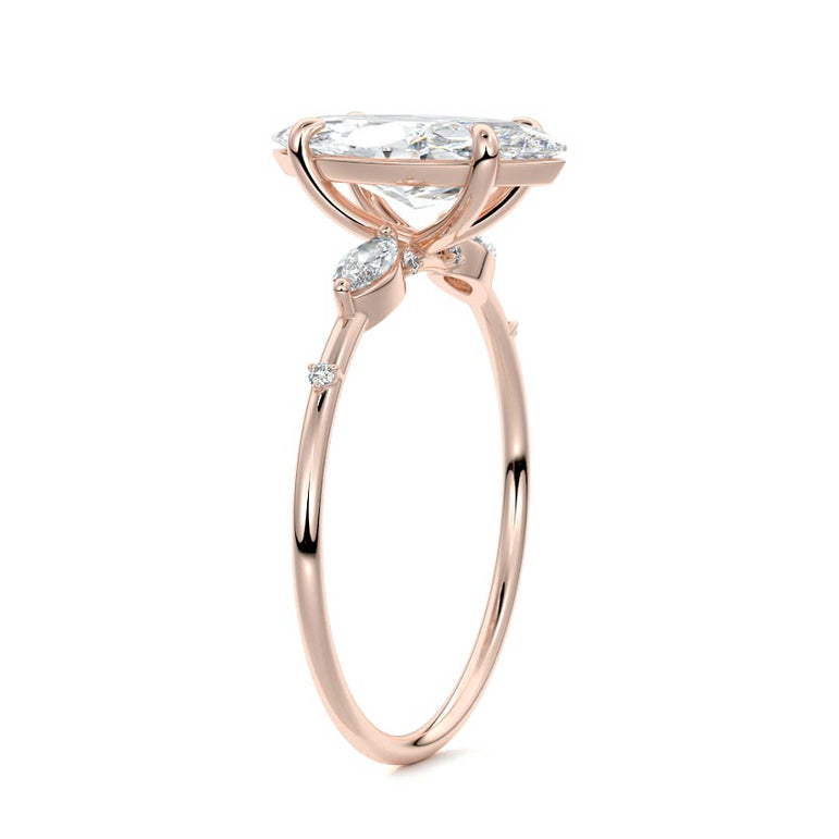 Marquise